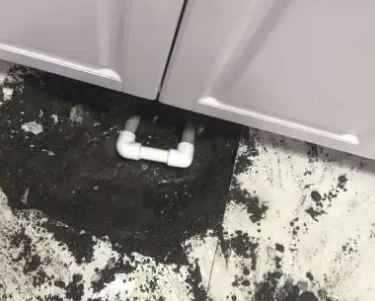 景洪查漏水哪家好