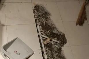 景洪卫生间漏水检测电话